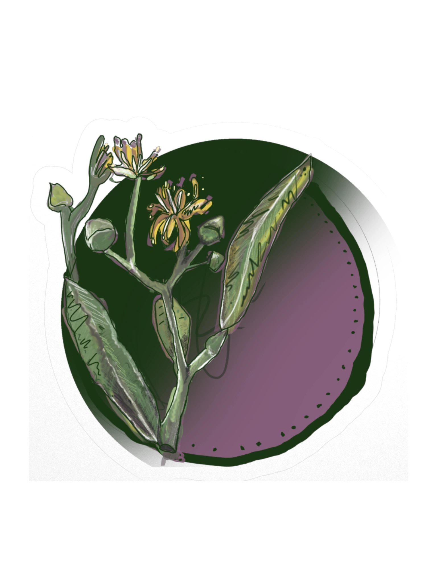 The Linden Blossom, Botanical Flower Sticker (3 inch vinyl) product image (1)
