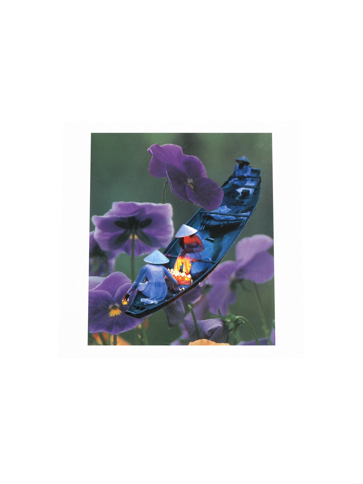 Enchanted World product image (10)
