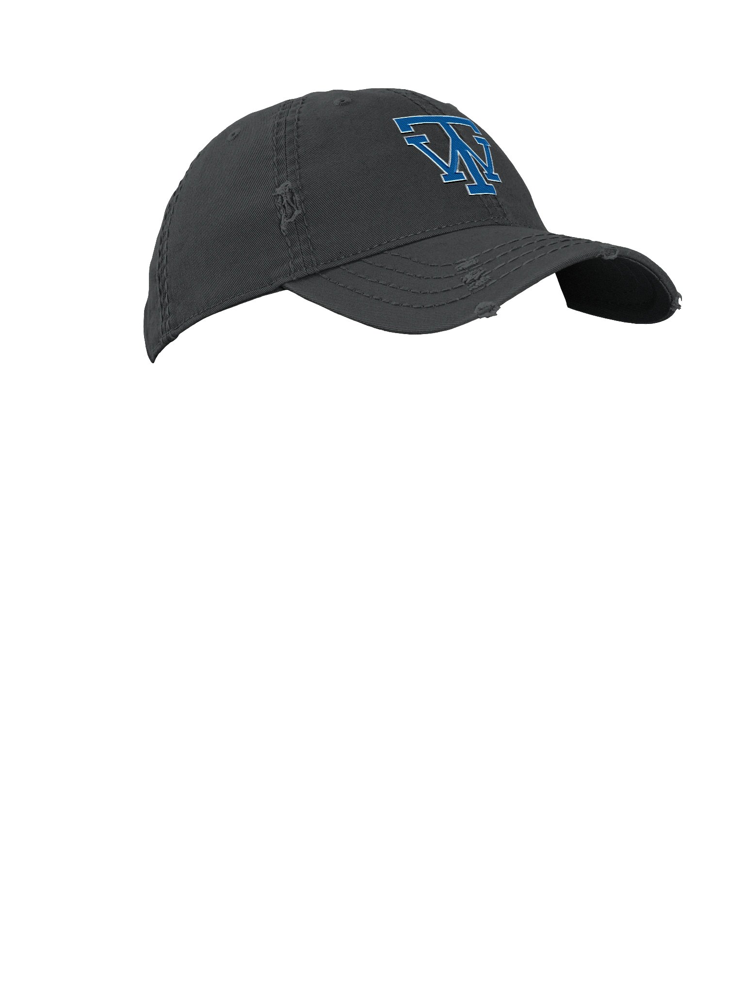 TW Logo Distressed Cap product image (3)