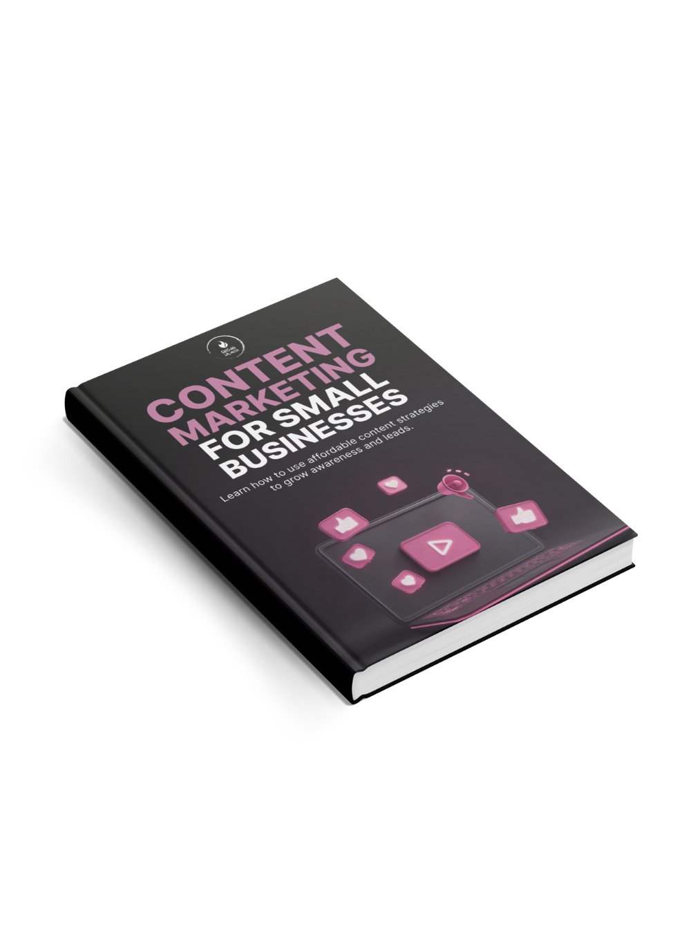Content Marketing for Small Business product image (3)
