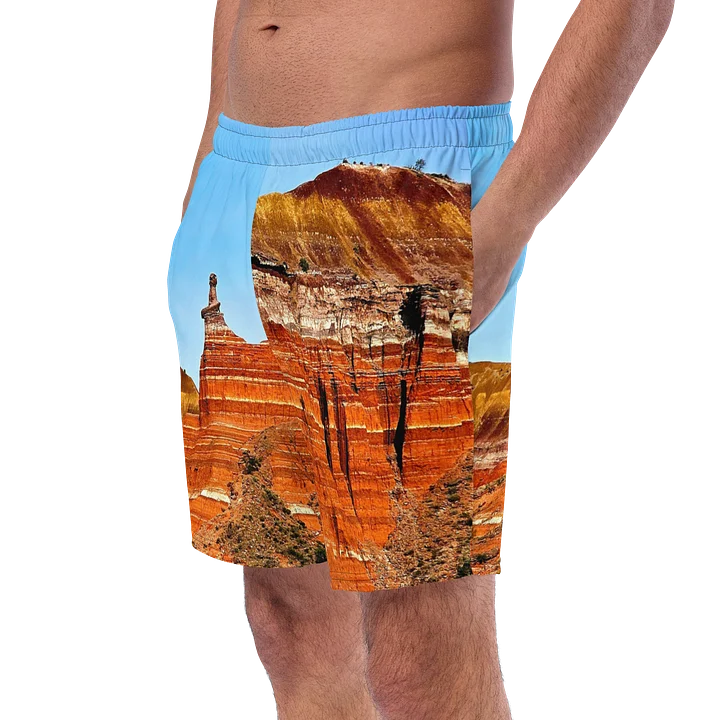 Palo Duro Canyon Swim Trunks product image (2)