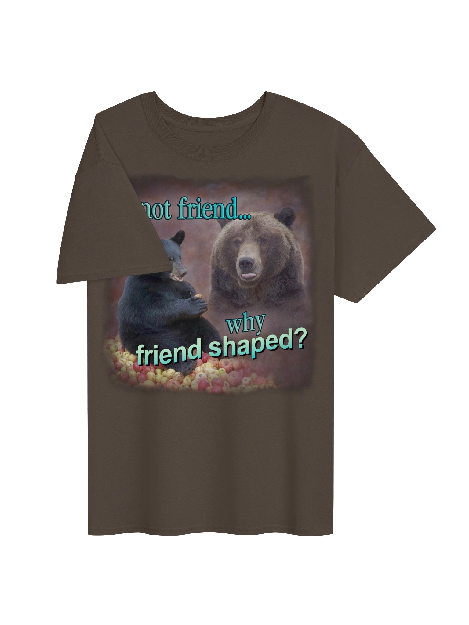 If Not Friend, Why Friend Shaped Bear T-shirt product image (3)