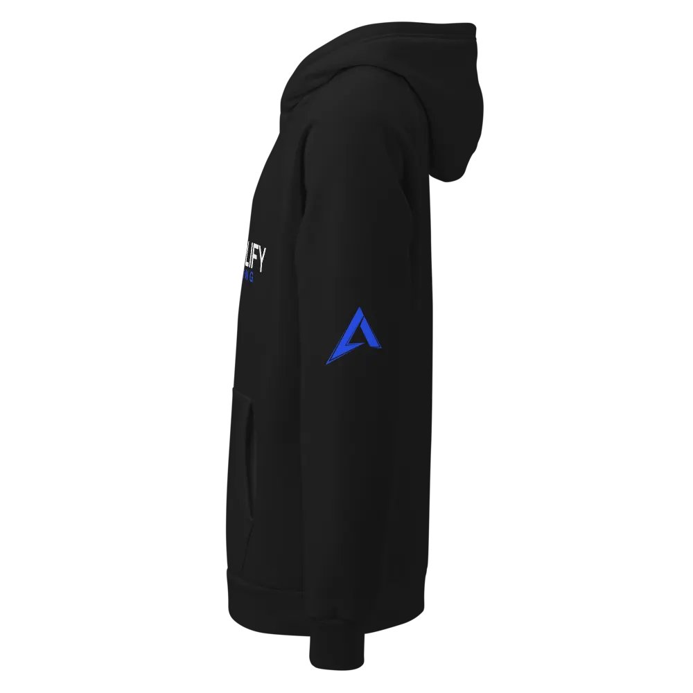 Amplify Gaming Team Hoodie product image (4)