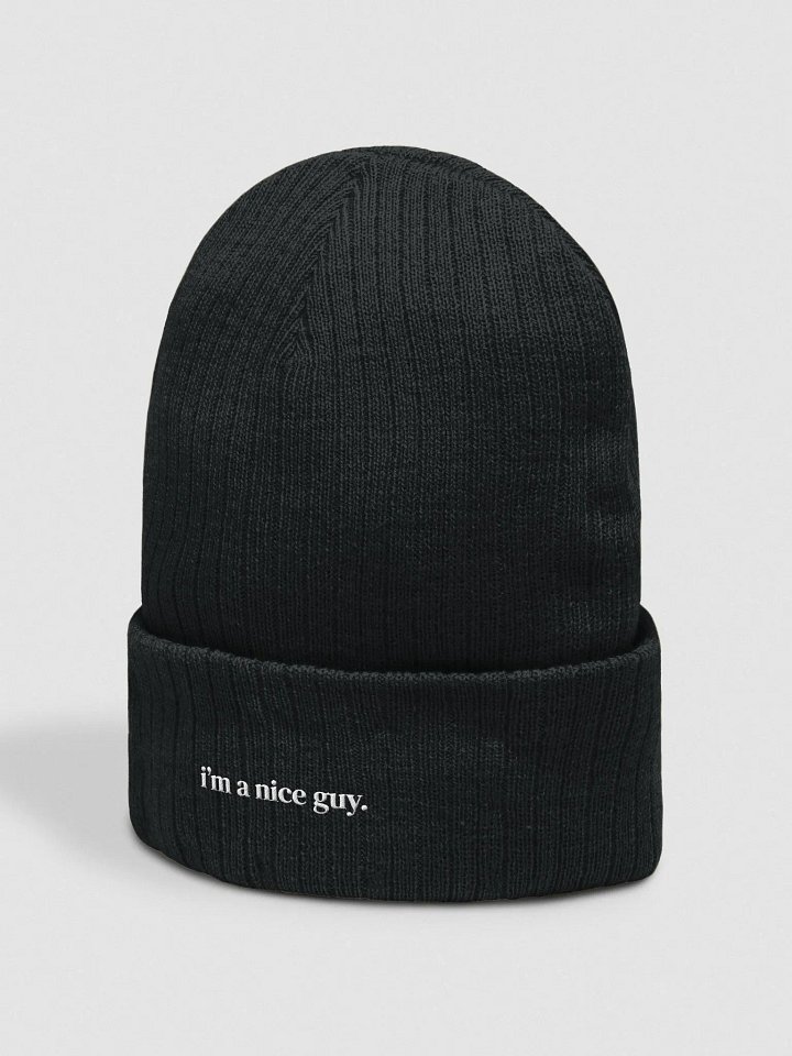 nice guy beanie product image (2)