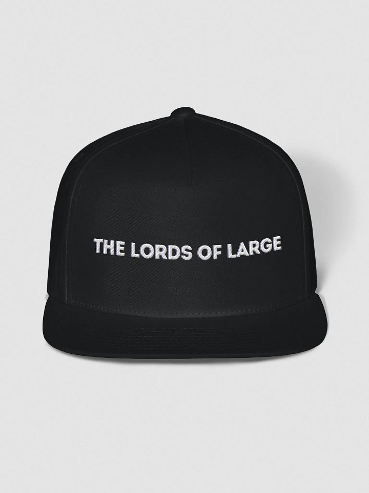 The Lords of Large Flat Bill product image (1)