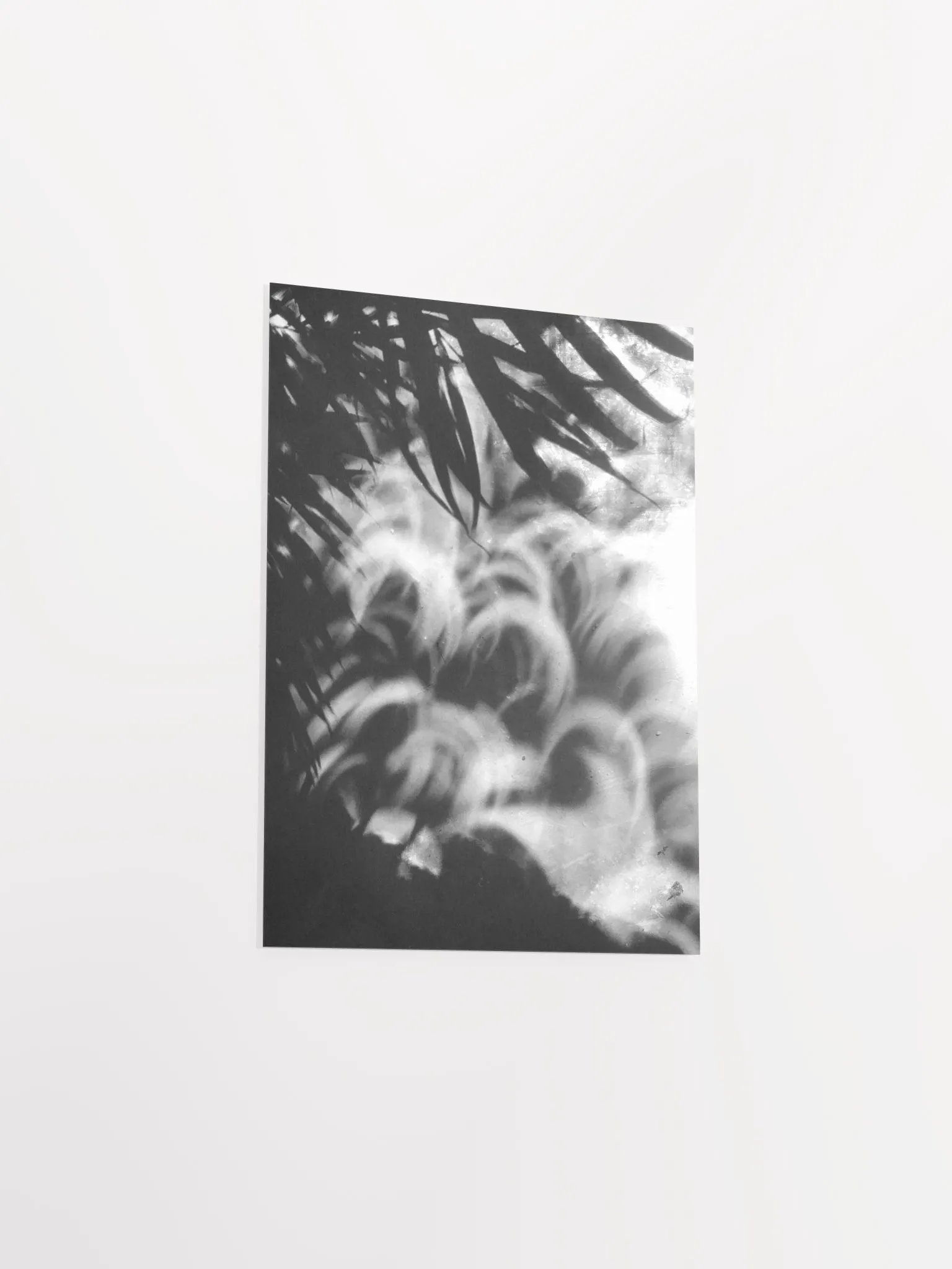 Crescents of Light from the Eclipse - Poster 3 product image (30)