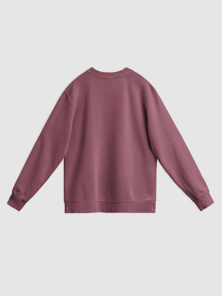 Unique Vintage Pigment Dyed Sweatshirt product image (2)