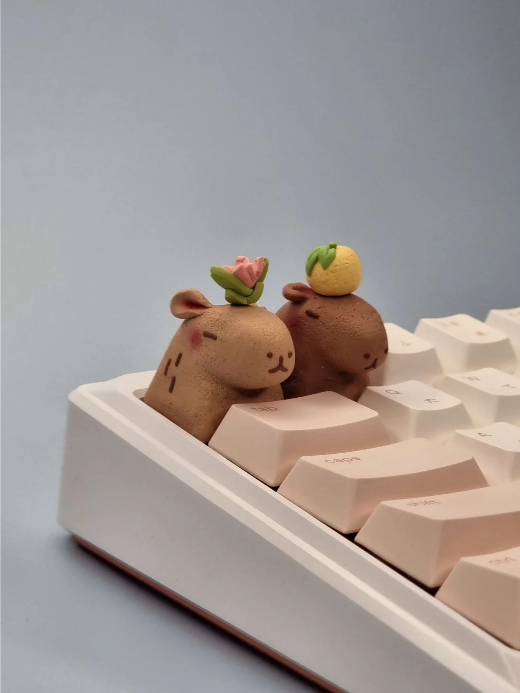 Capybaras product image (1)