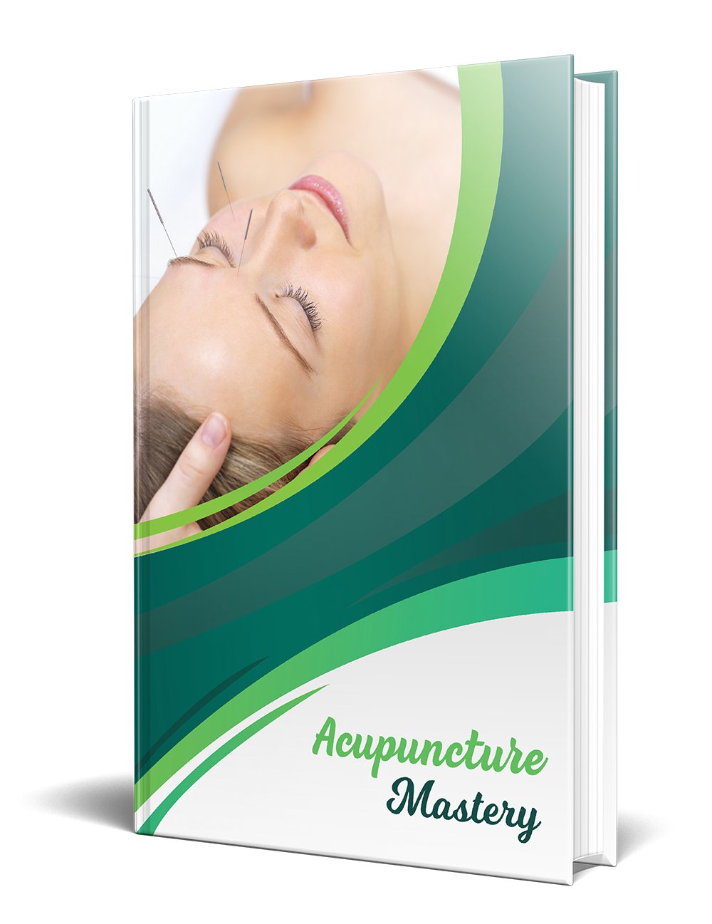 Acupuncture Mastery product image (1)