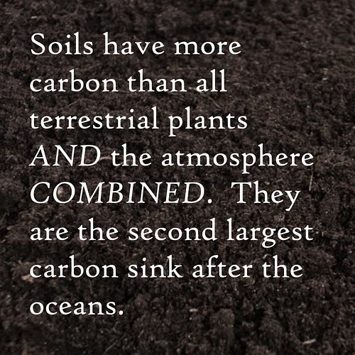 With around 1500 billion tons of carbon found in the organic matter in soil worldwide, soils are the second largest active st...