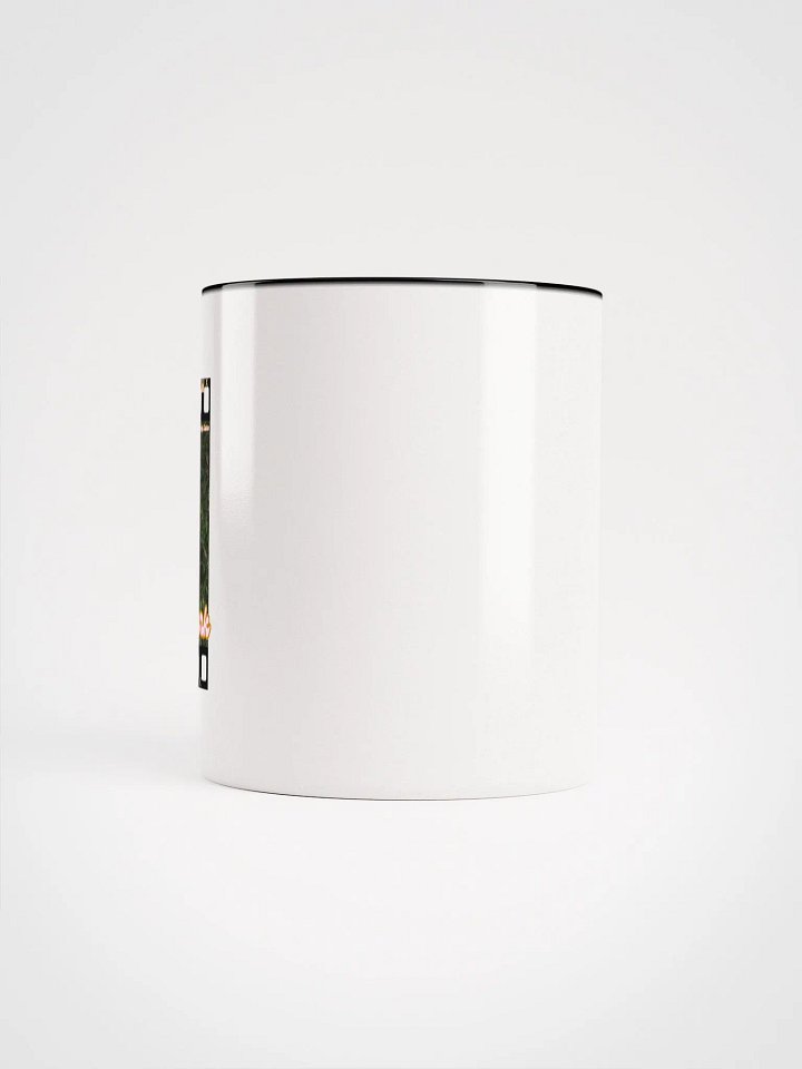 Golden Gate Park Raccoon Mug product image (2)