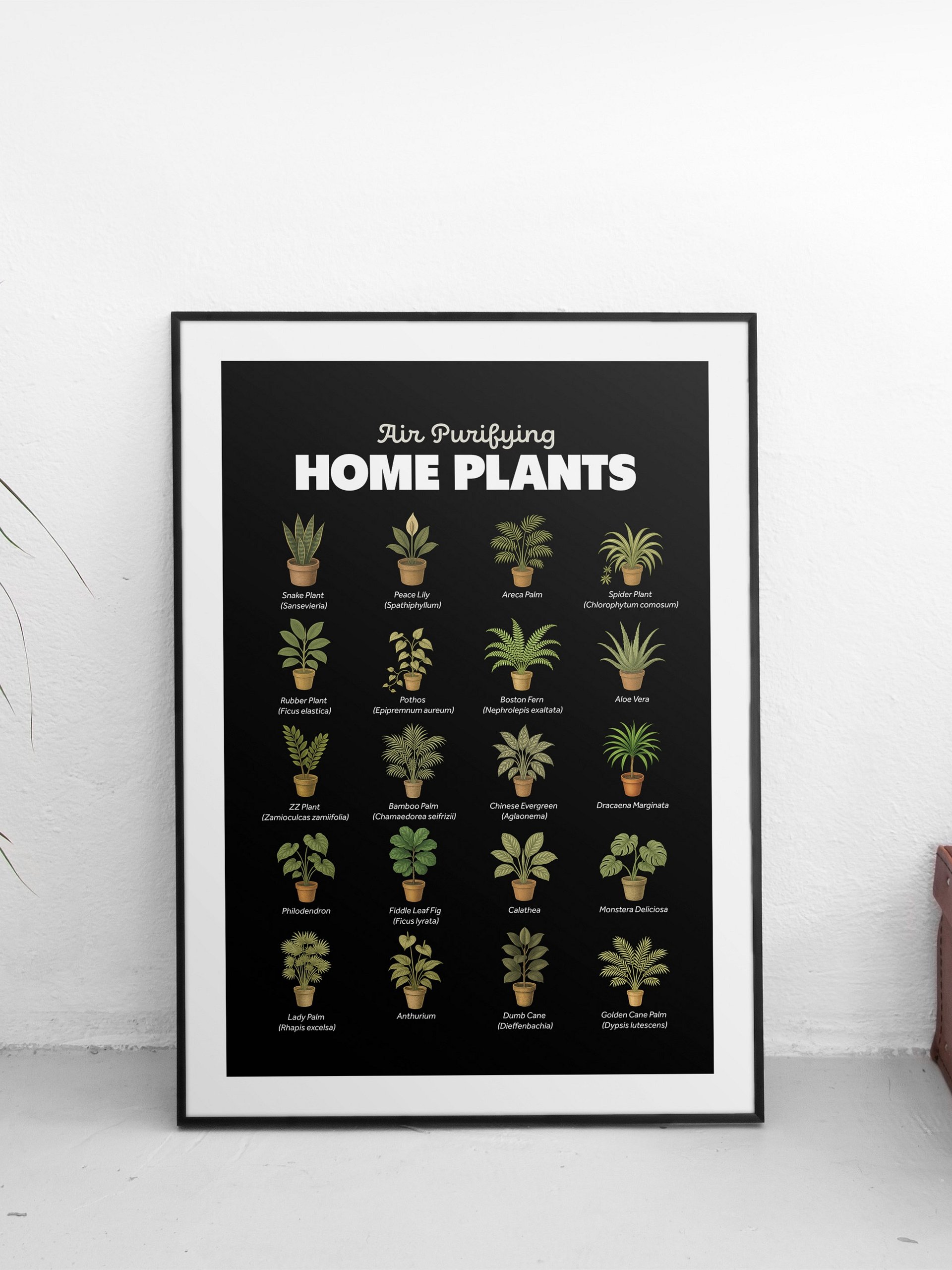 Air Purifying Home Plants Framed Art Print product image (1)