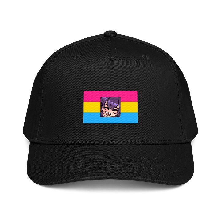 Cyn's Pansexual Hat product image (1)