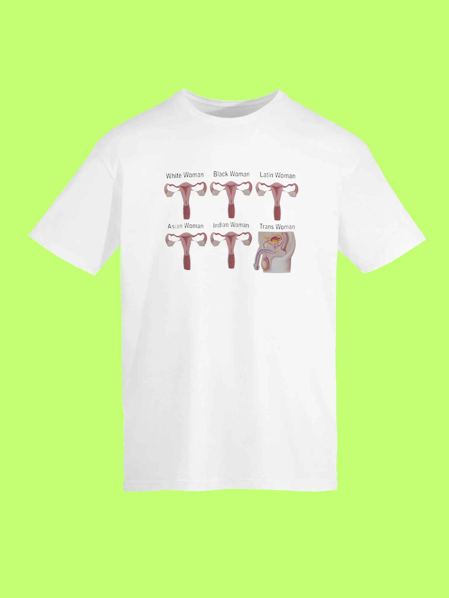 Reproductive System Shirt product image (152)