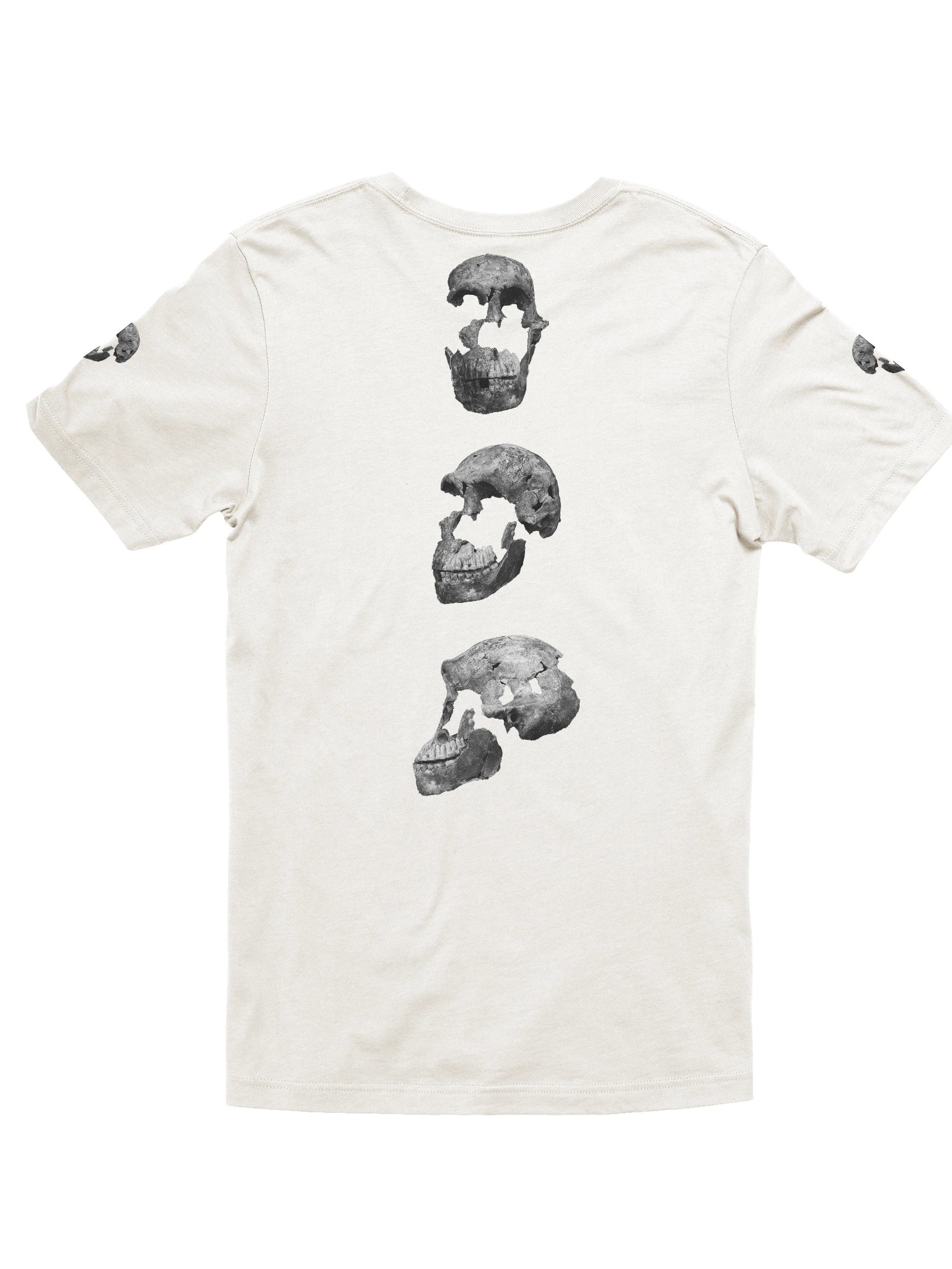 Naledi Fossil Skull T-Shirt Light product image (7)
