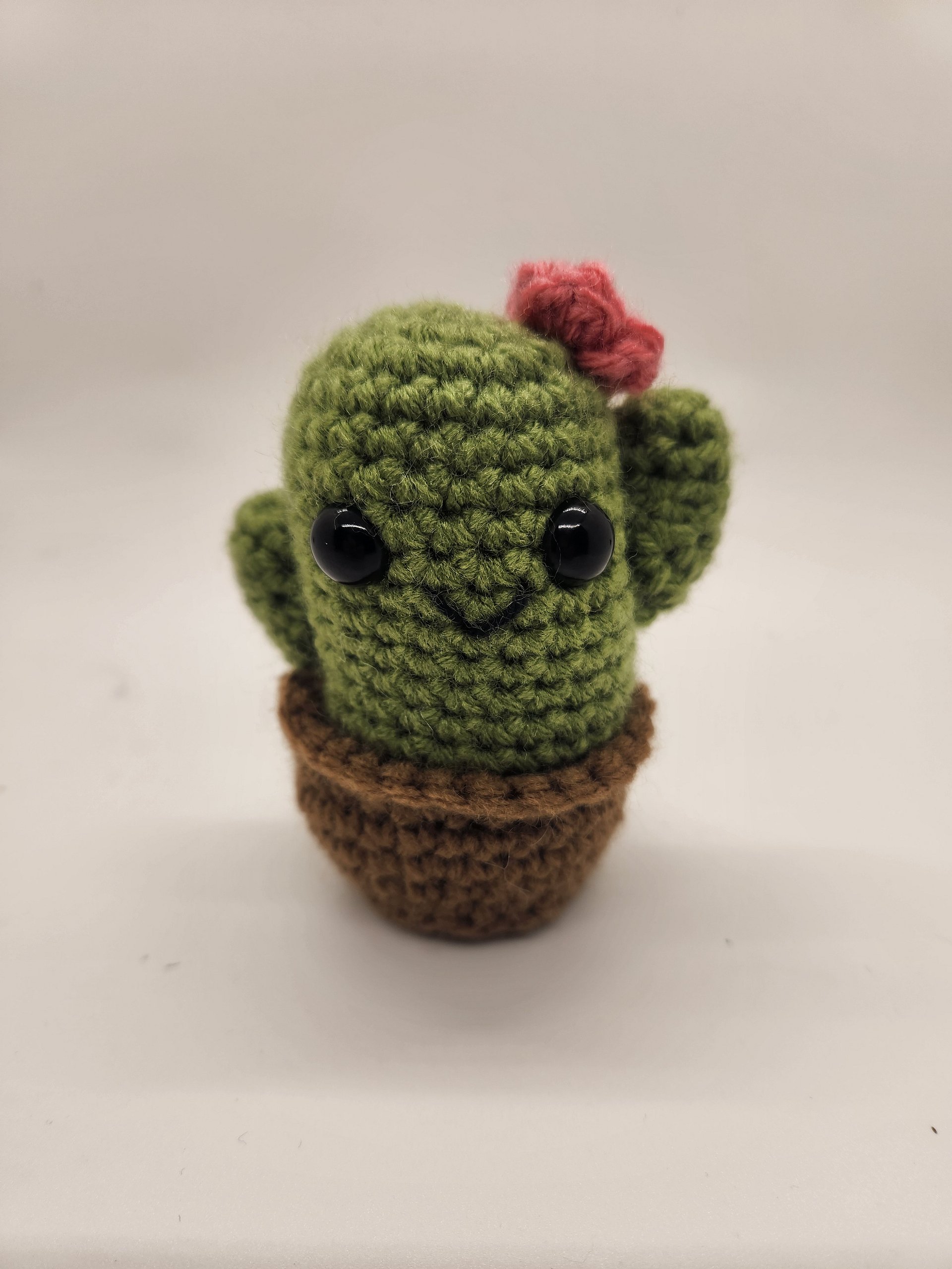 Cactus product image (1)