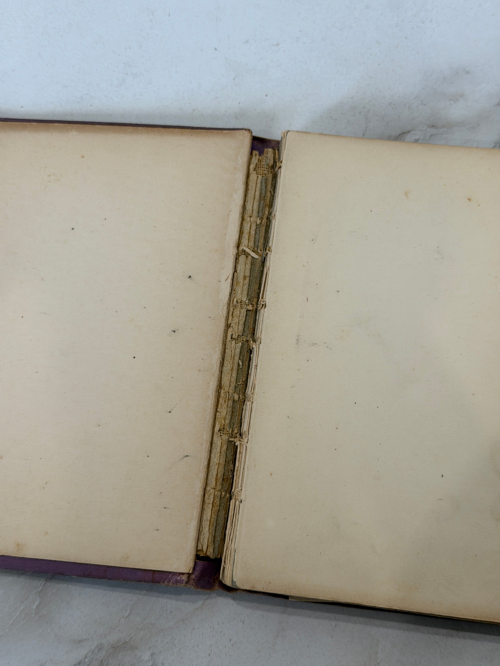 1904 | The First Christmas from Ben Hur | Lew Wallace | Antique Illustrated Christmas Book product image (3)