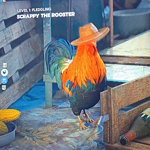 Look, hei hei got a cowboy hat 🥲
