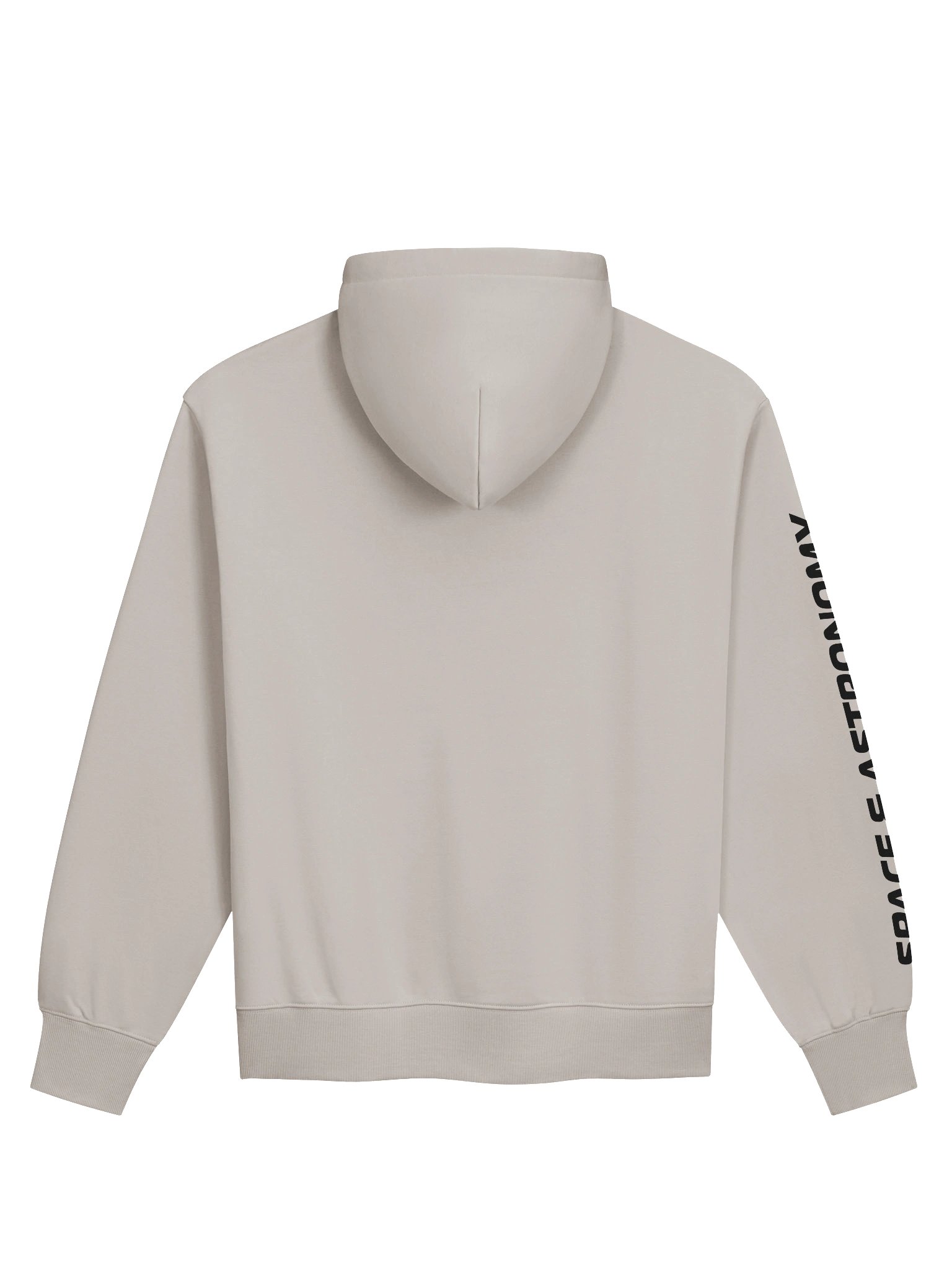 TGWSP Heavy Hoodie (Off-White) product image (2)