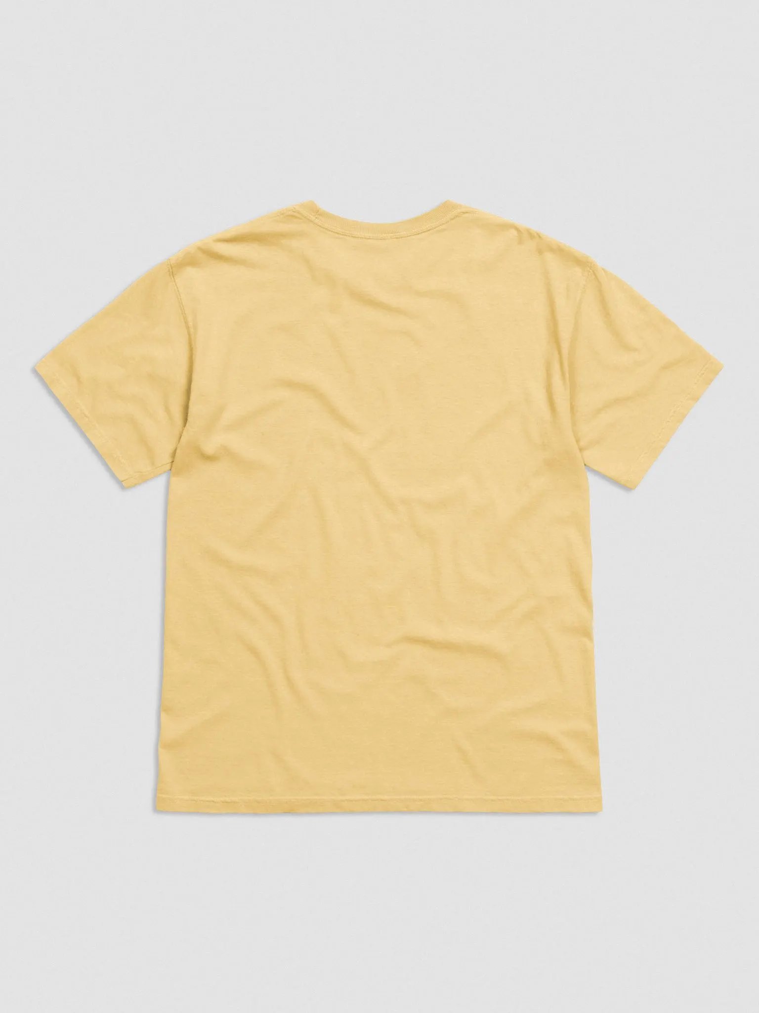 Comfort Colors Garment-Dyed Heavyweight T-Shirt product image (21)