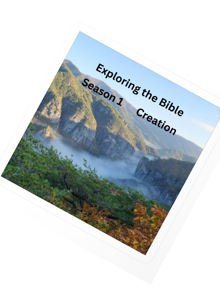 Exploring the Bible: Season 1 — The Creation Story product image (2)
