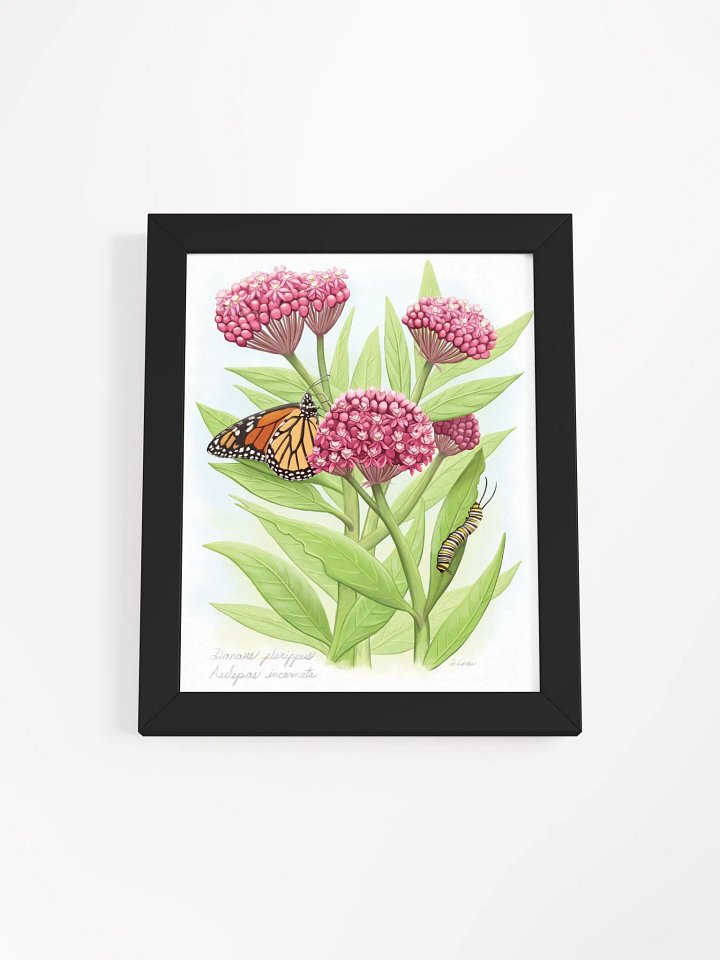 Monarch & Milkweed product image (10)