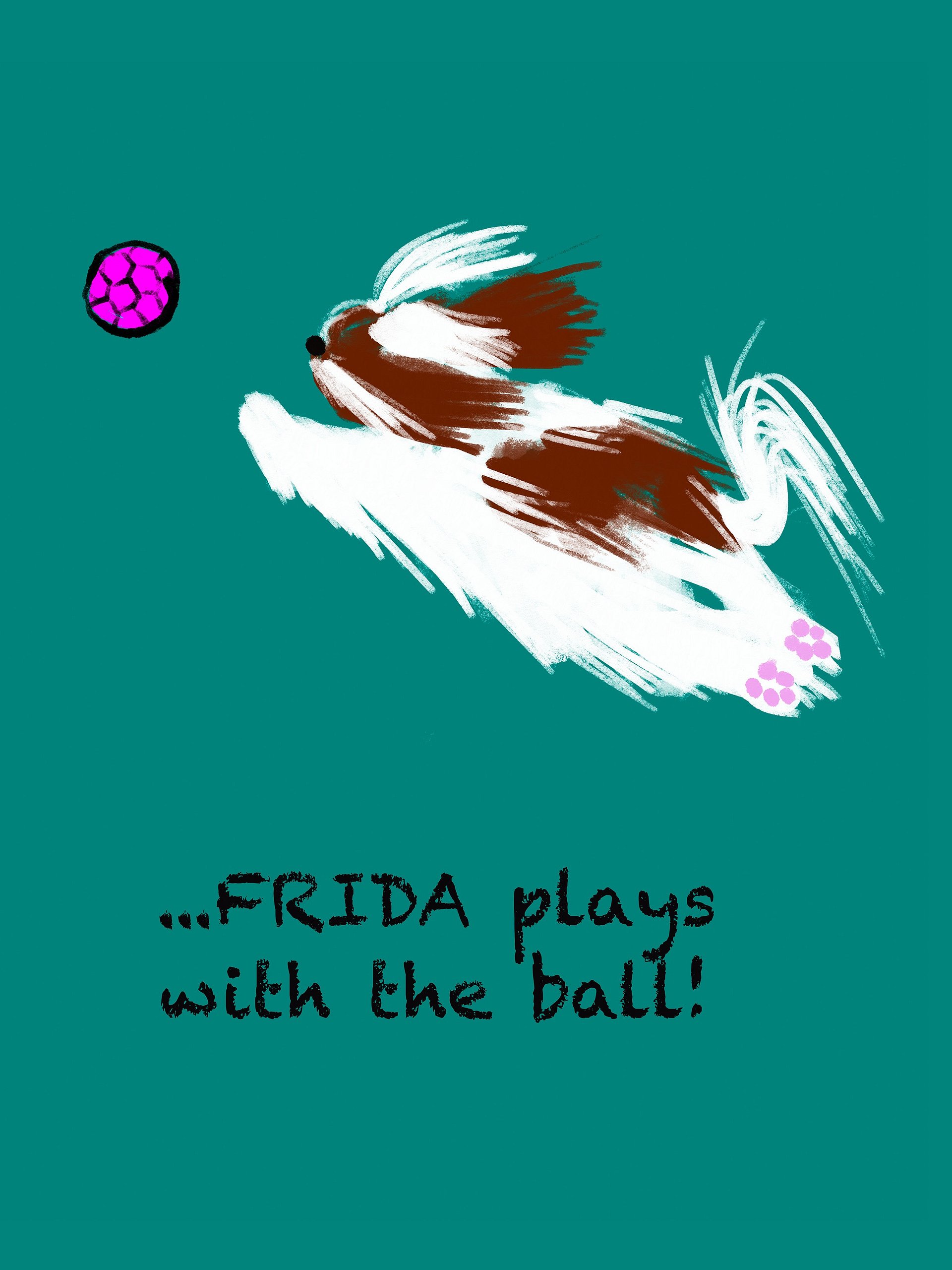 We Are Unique: Living the Shih Tzu Life product image (3)