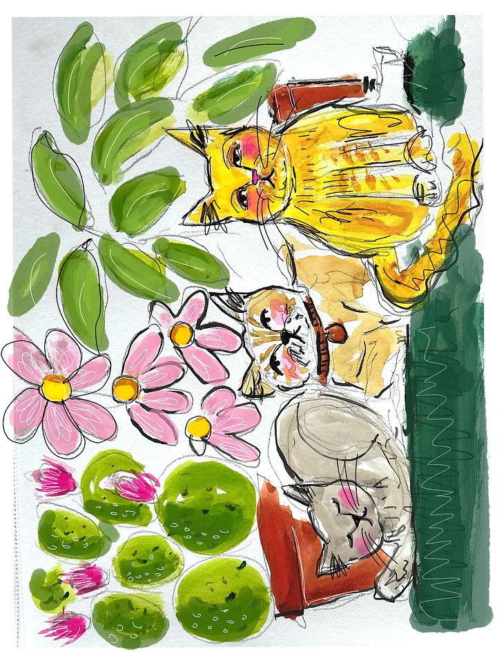 Cat & Plants Sketch product image (2)