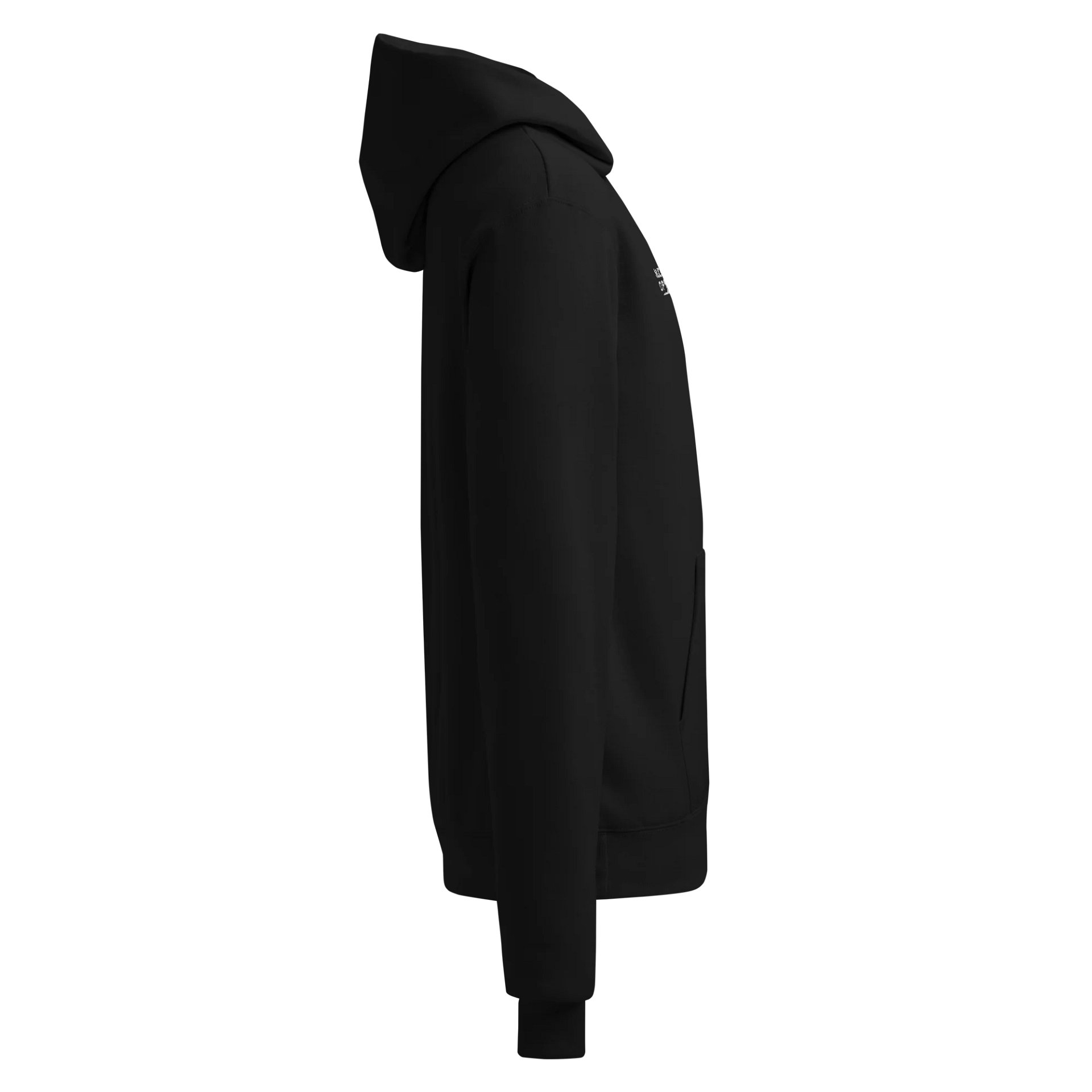 Premium Embroidered Champion Hoodie product image (4)