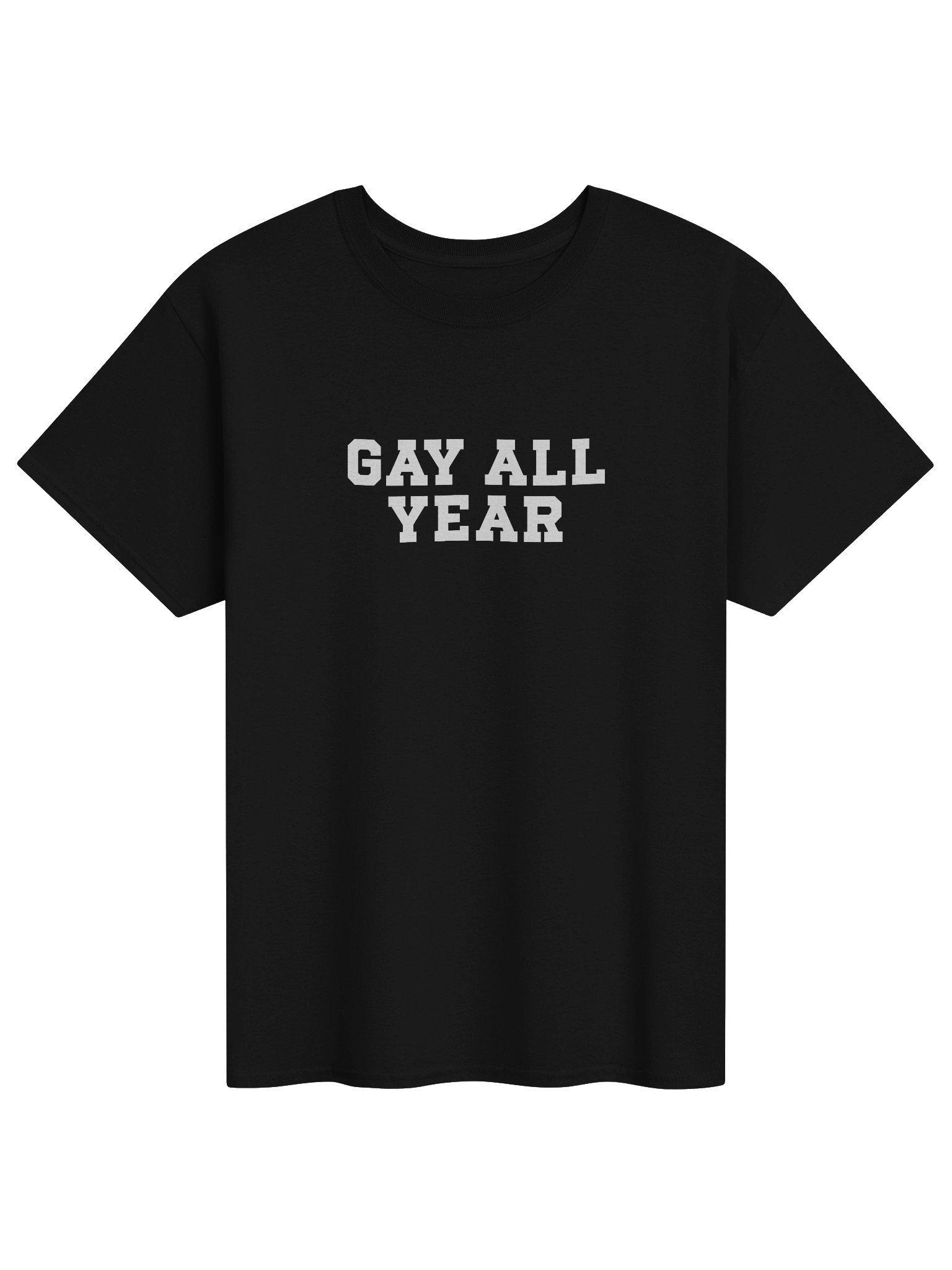 Gay All Year Tee product image (1)