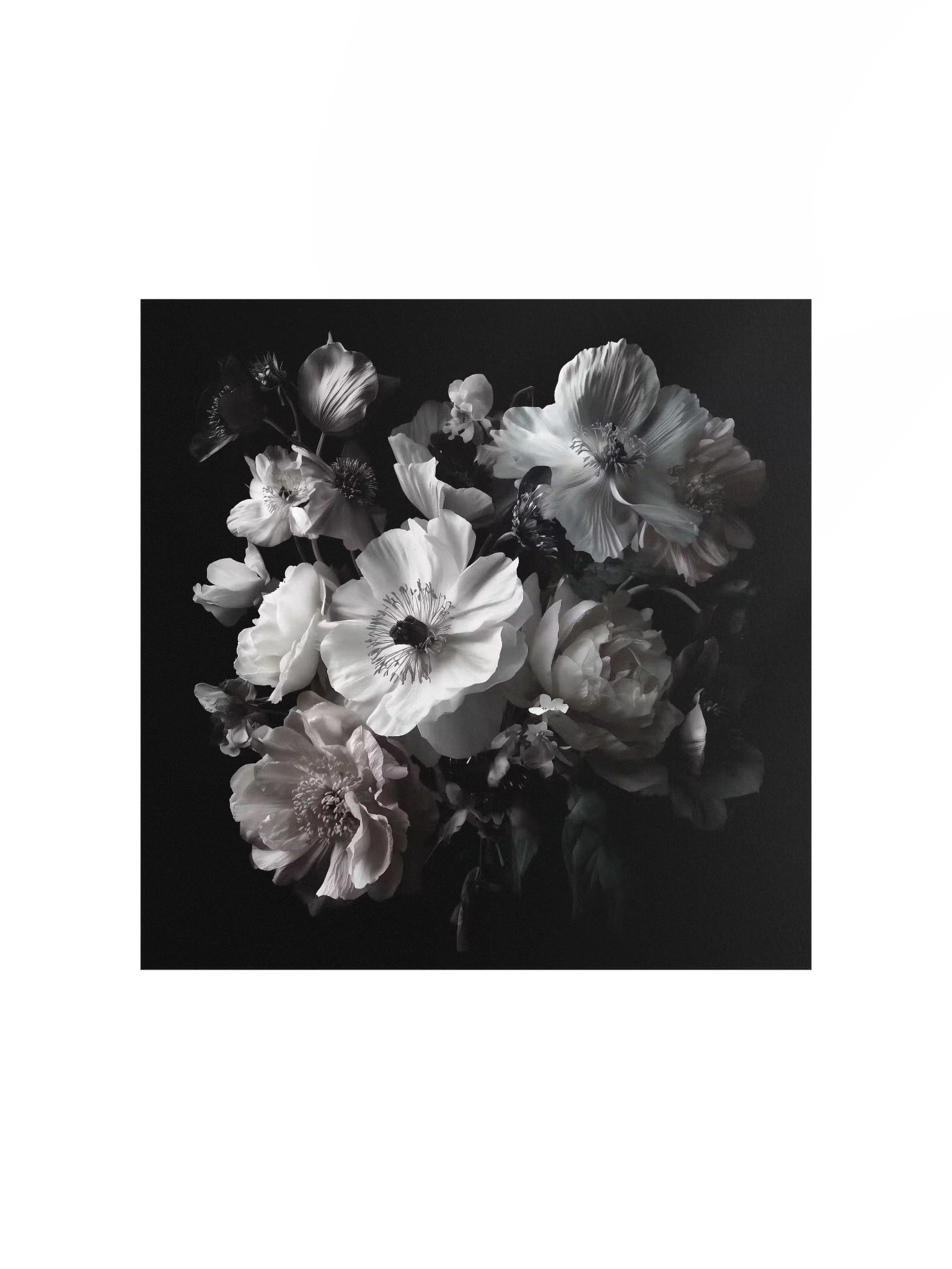 Carbon Bloom III — Quiet Choir - Fine Art Print product image (1)