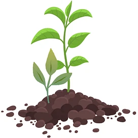 Sapling tier thumbnail