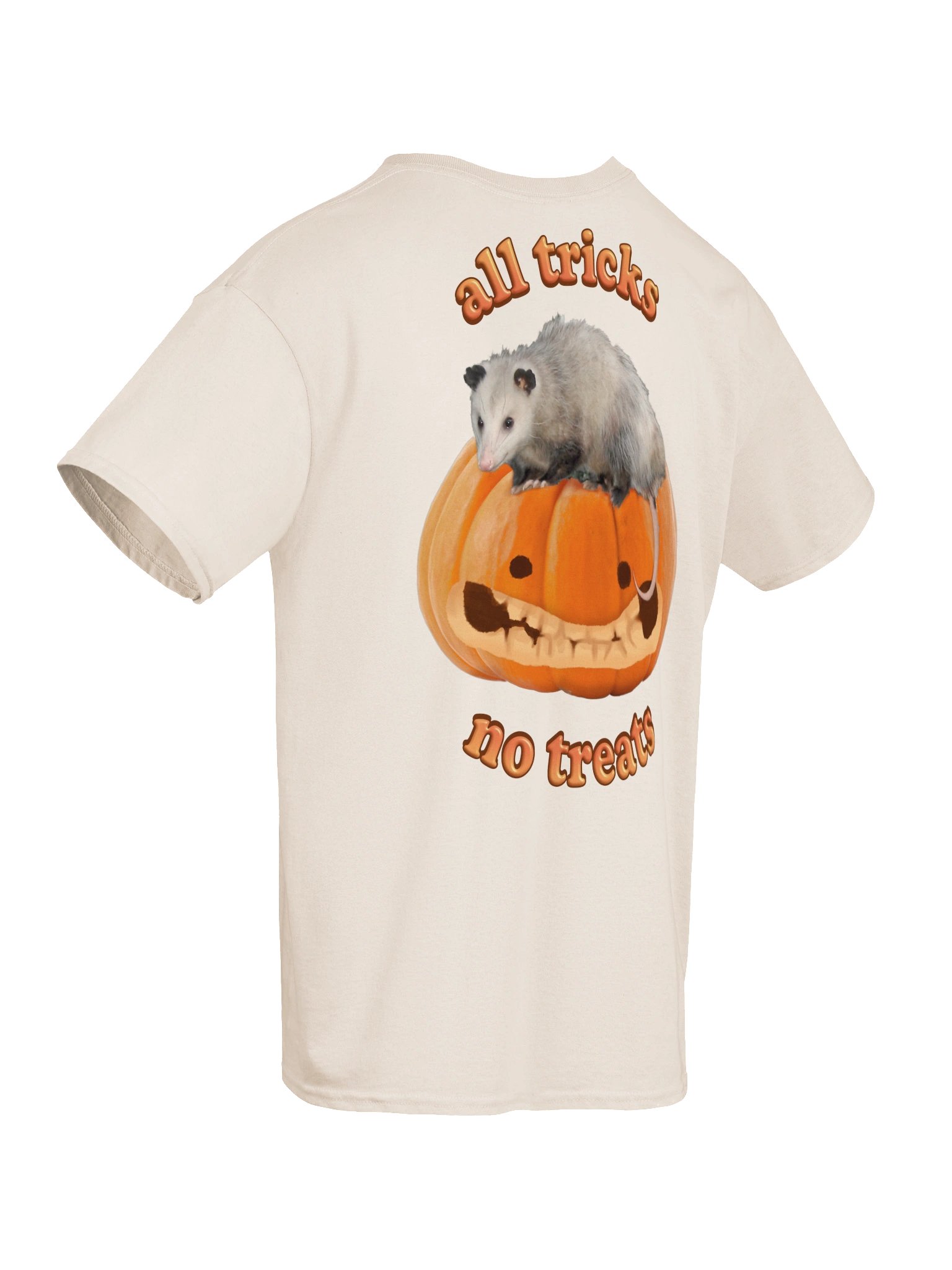 All Tricks No Treats [Double Sided]- Autumn Pumpkin Possum T-shirt product image (8)