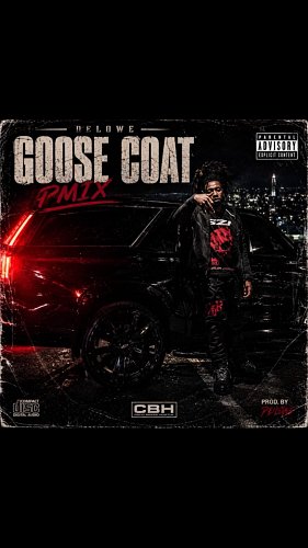 Delowe - Goose Coat P-MIX ‼️🚨OUT NOW ON YOUTUBE🚨‼️