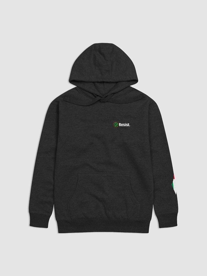 Resist Hoodie - Black product image (1)