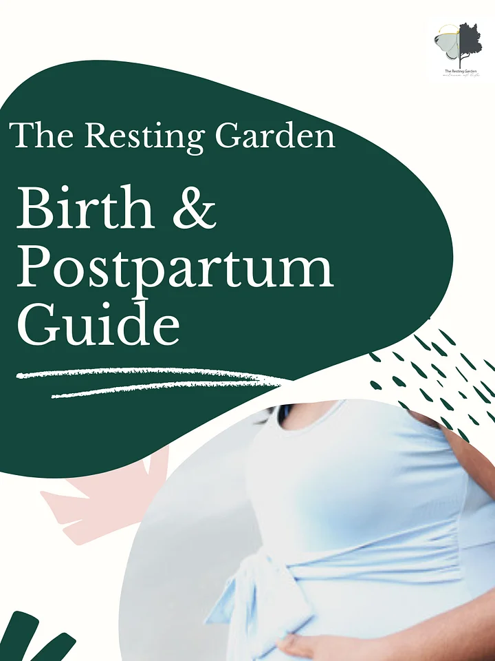 Birth and Postpartum Guide product image (1)