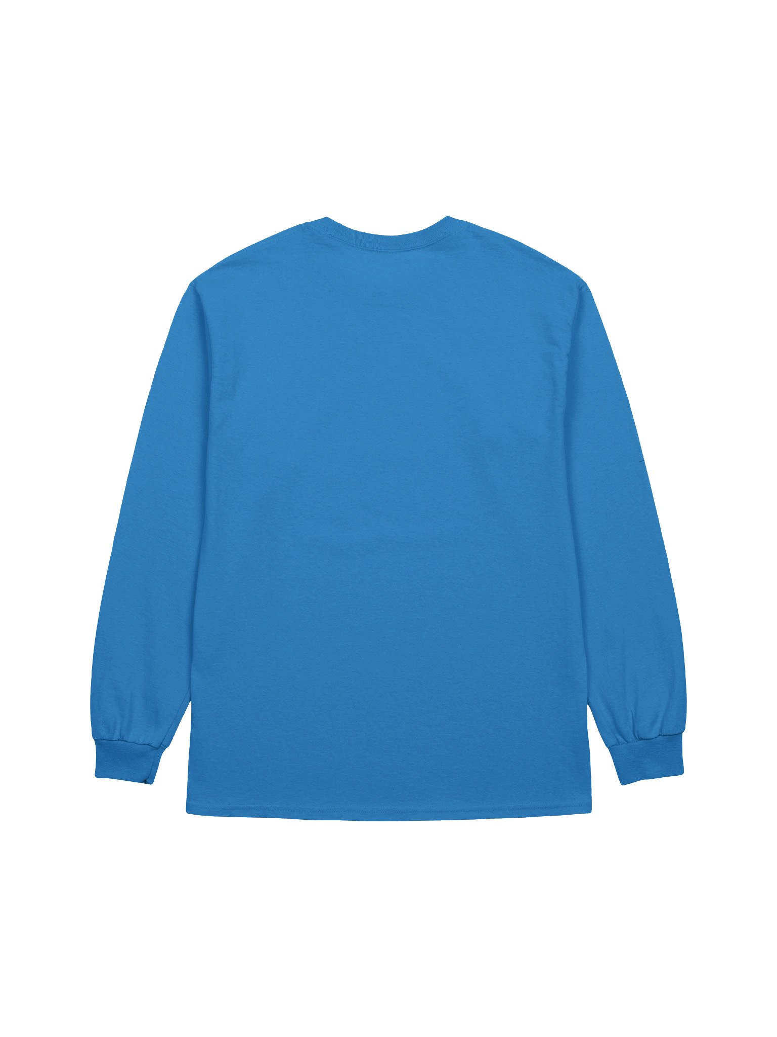 Primary Logo Longsleeve product image (6)