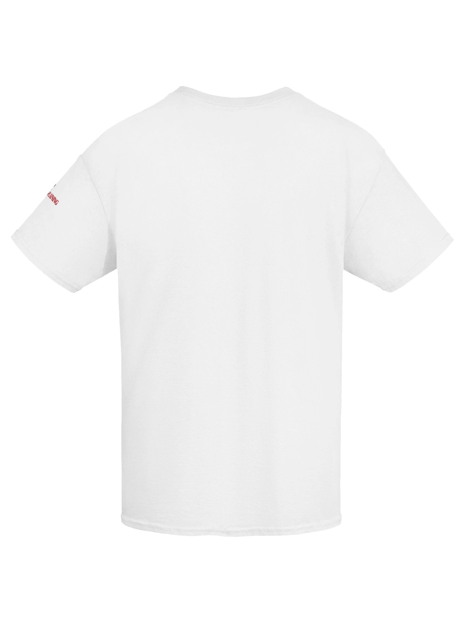 ALFsplaining T-shirt product image (98)