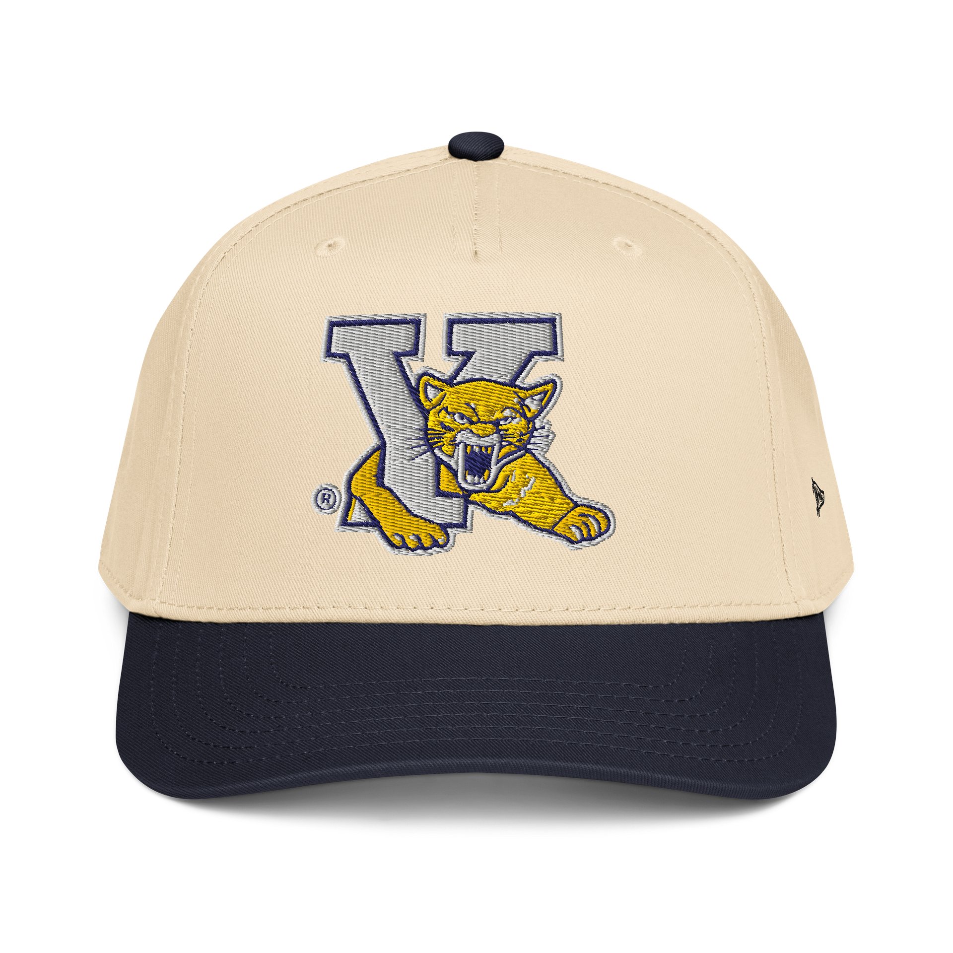 Young Collegiate Mountain Lion Cap product image (1)