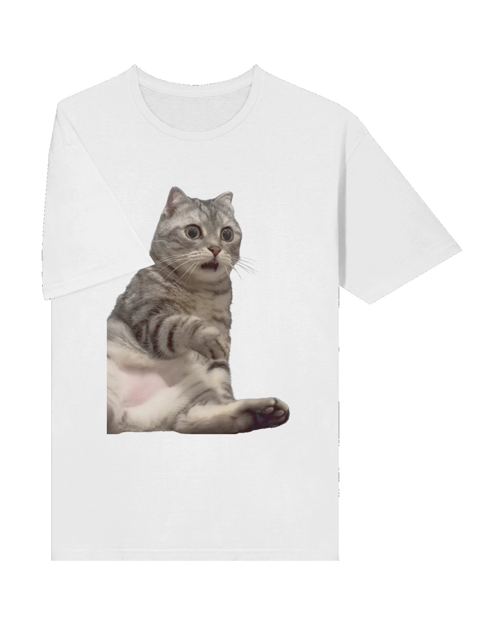 Scared Cat Meme T-Shirt product image (5)