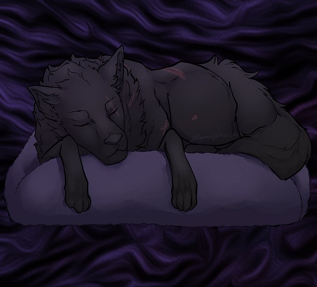 "The Slumbering Wolf" Collection