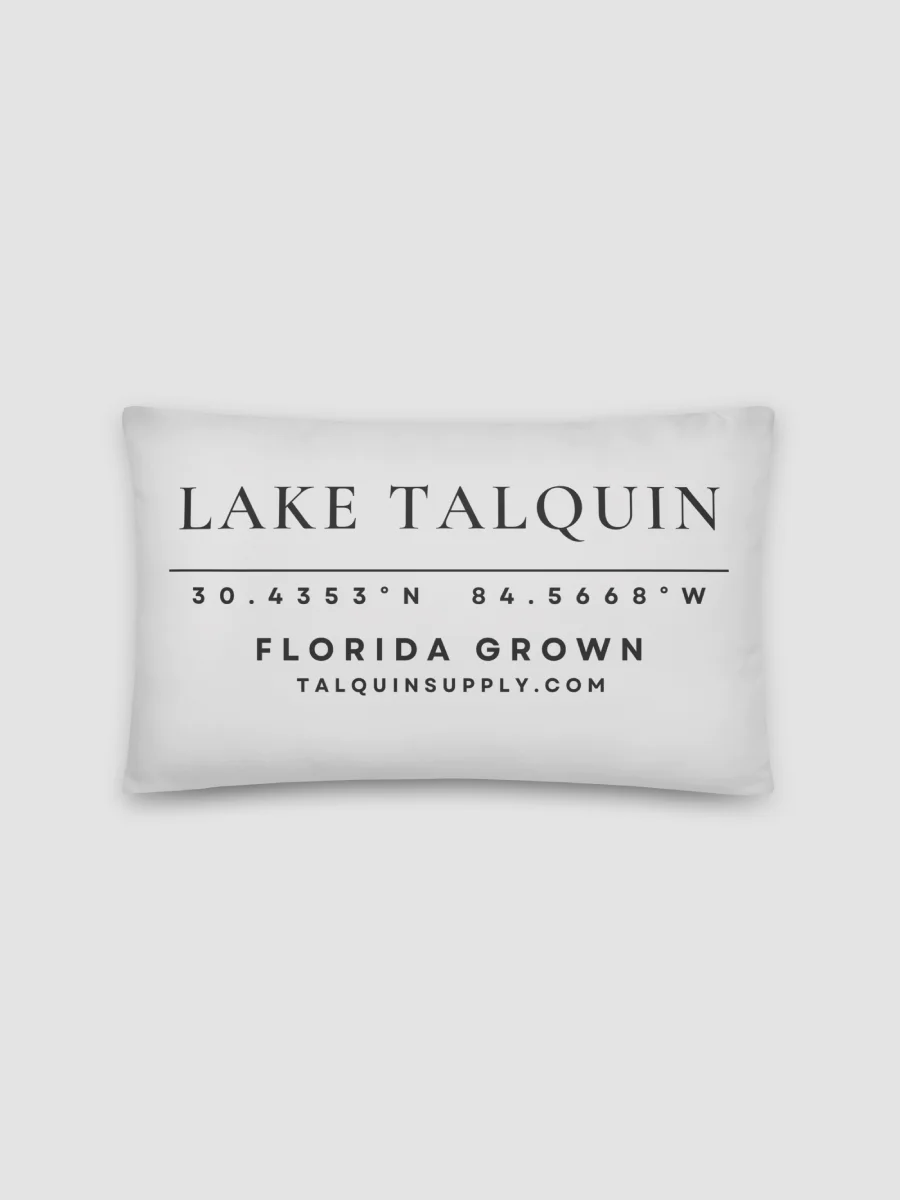 The Coordinates Pillow product image (2)