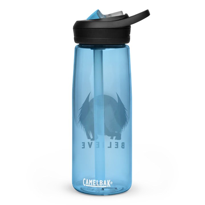 BELIEVE Water Bottle product image (11)