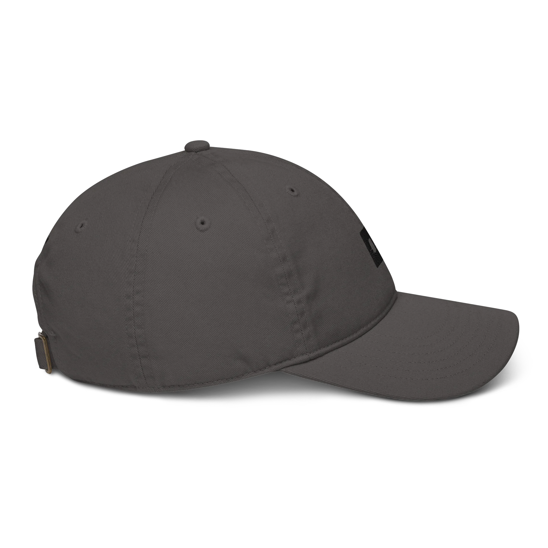 Logo Hat 001 product image (16)