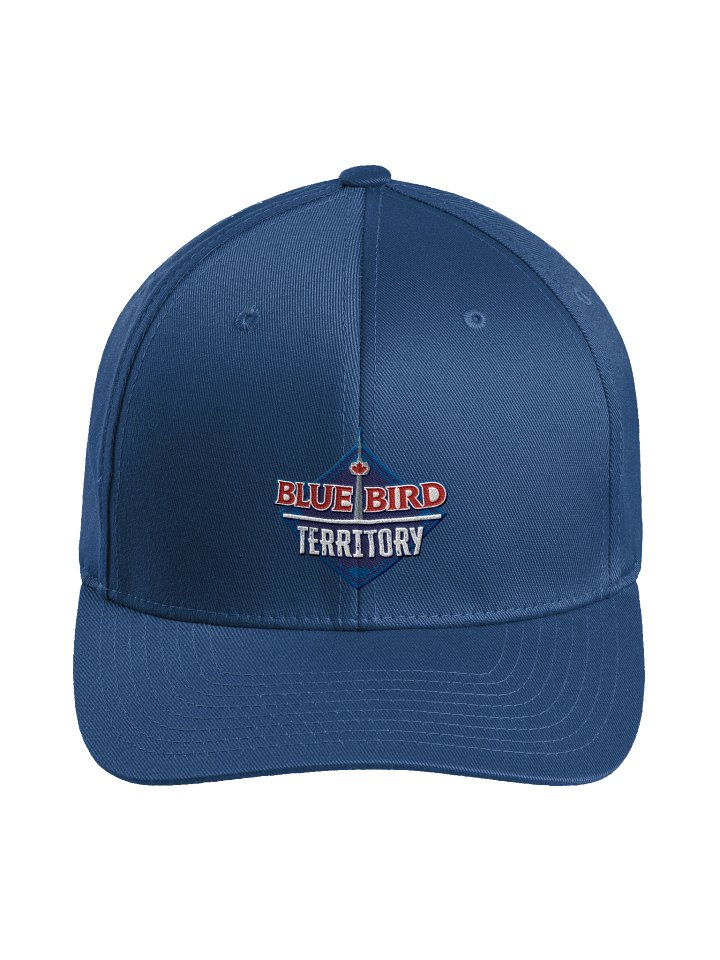 Fitted Hat product image (1)