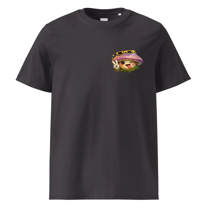 Kingdoms Cartographer 2 Organic T-Shirt product image (1)