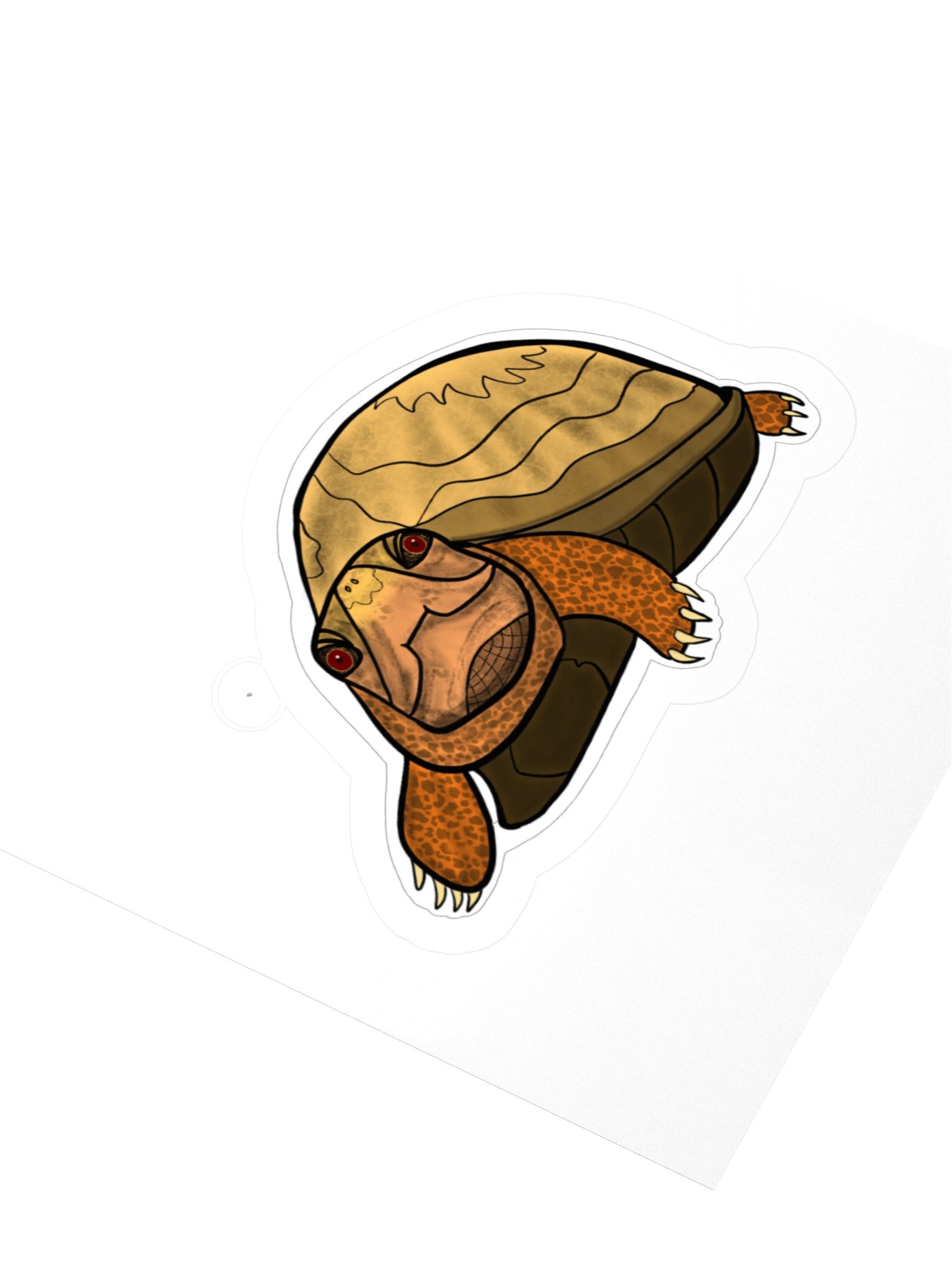 Twenty Turtle Six - February product image (3)