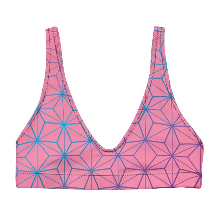 Nezzy Padded Bikini Top product image (2)