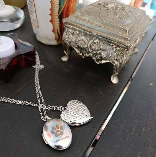 I ordered these right after Mamacita died on March 27th. 
I got a knock on the door a little while ago from a delivery I'd fo...