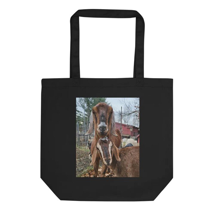 Giant Goats tote bag (Dragon one side Wilson & Patrick the other) product image (1)